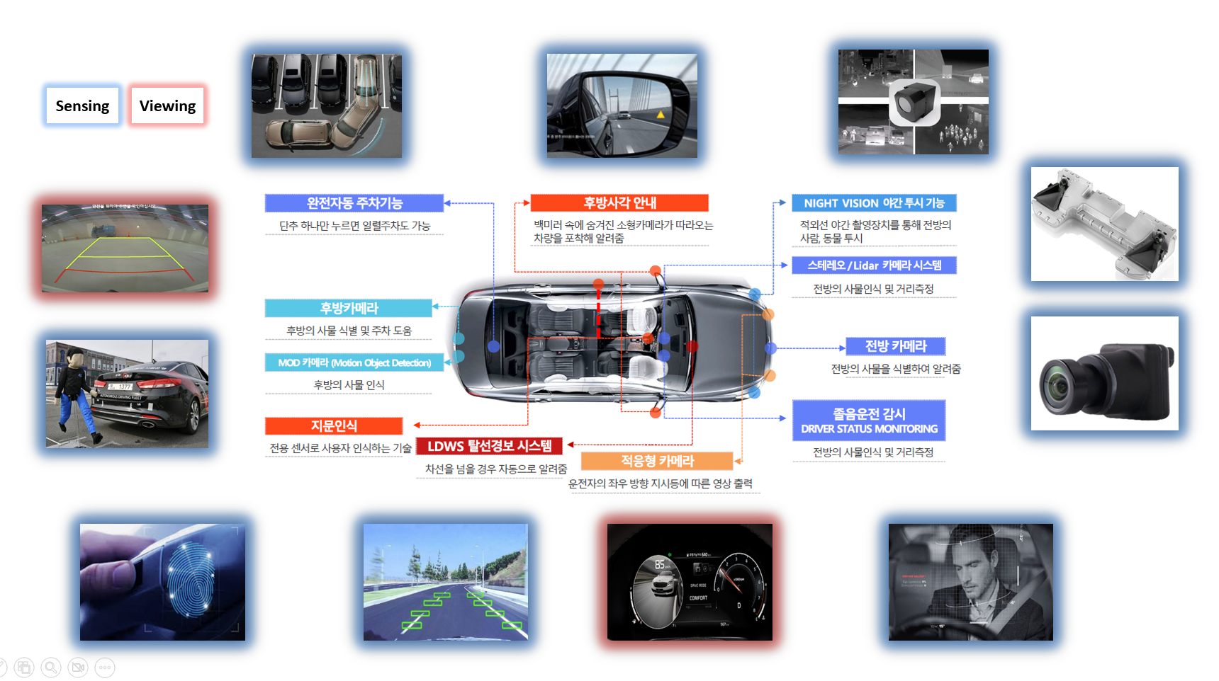Automotive Camera Overview Infographic